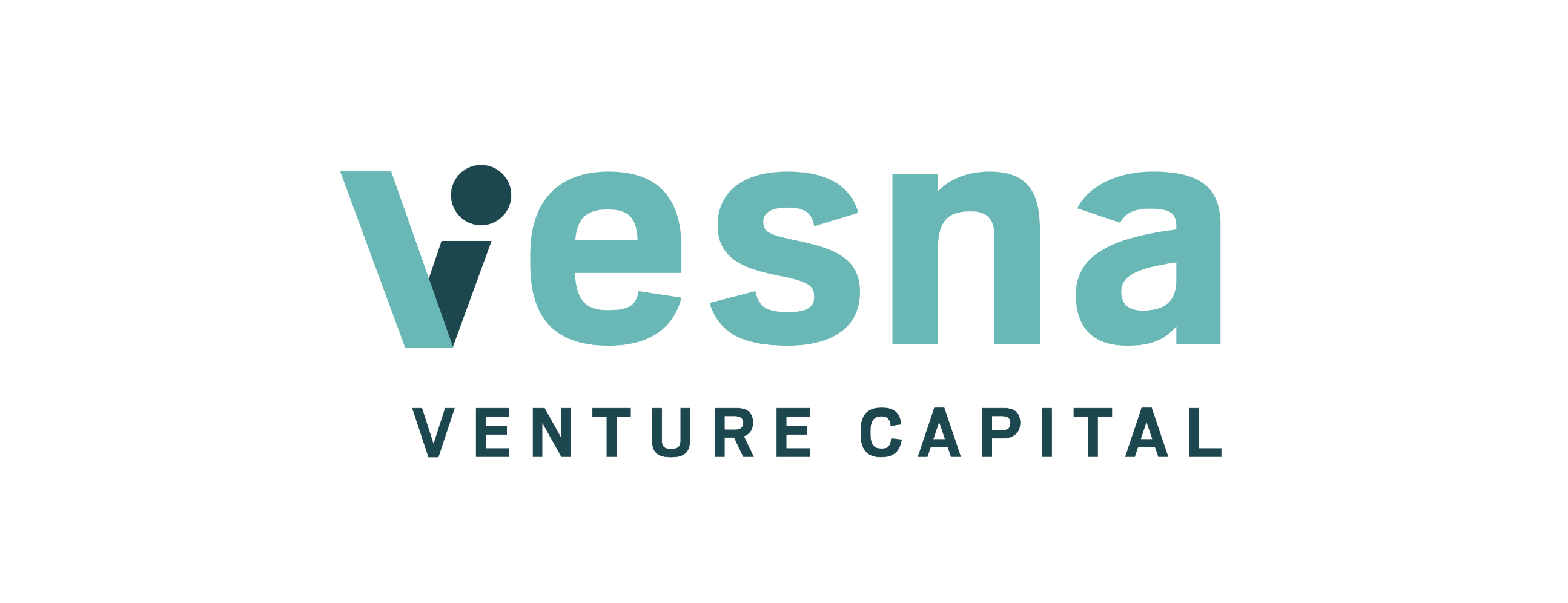 Vesna Venture Capital logo